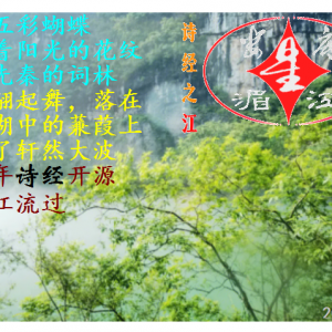 我的相册